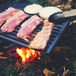 Bison rolling grill